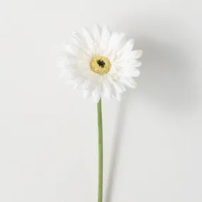 25"H Sullivans Refreshing Cream Gerbera Daisy, Cream 25"H Sullivans Refreshing Cream Gerbera Daisy, Cream
