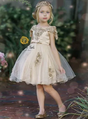 Champagne Dream Holiday Princess Dress Champagne Dream Holiday Princess Dress