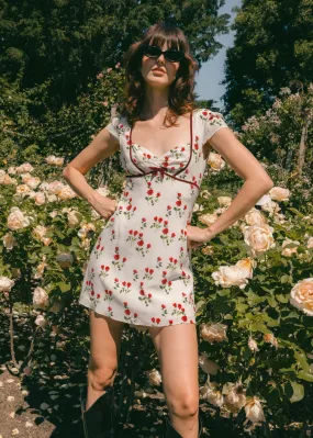 Rosa Silk Dress Rosa Silk Dress